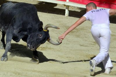 course camarguaise